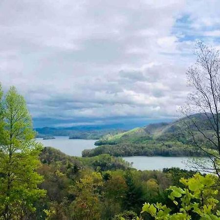 Butler Cabin At The Cove At Watauga Lake מראה חיצוני תמונה
