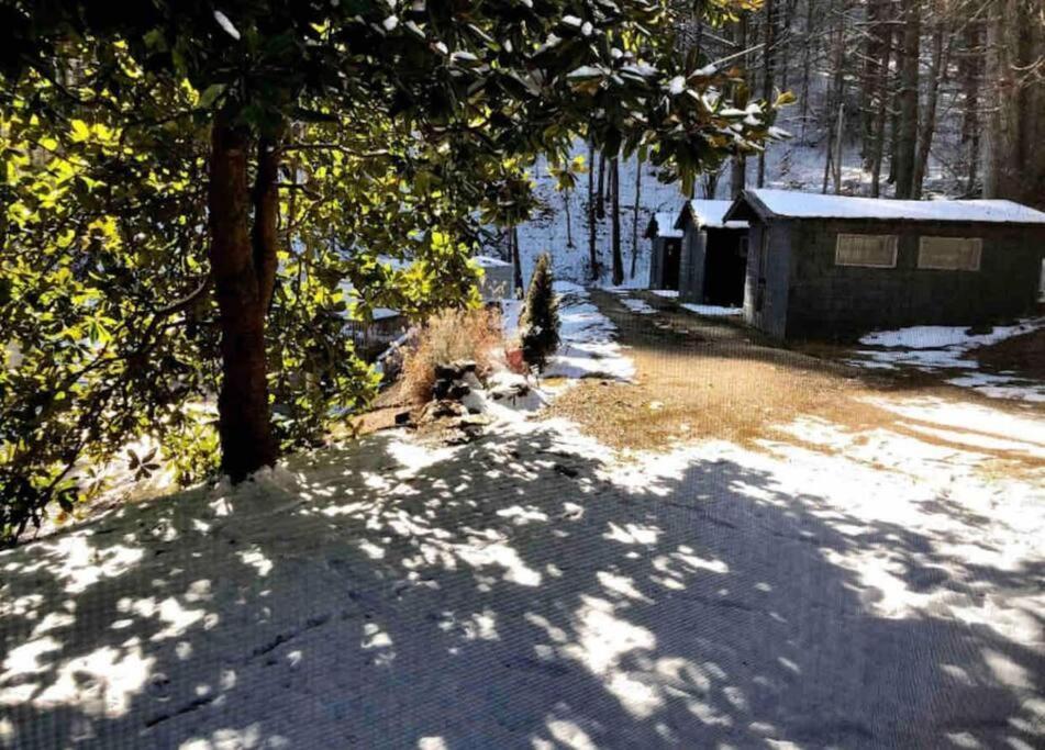 Butler Cabin At The Cove At Watauga Lake מראה חיצוני תמונה